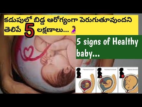 5 Signs Healthy Baby during pregnancy/ఆరోగ్యకరమైన బిడ్డ యొక్క లక్షణాలు