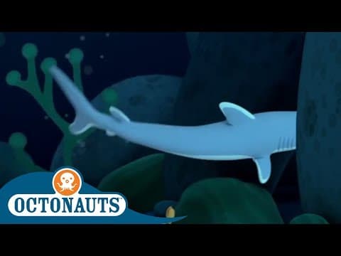 Hammerhead Pup Rescue Mission