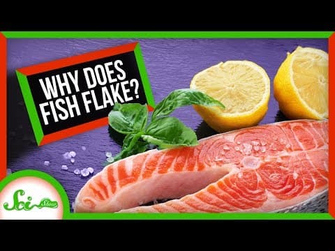 Why Does Fish Flake? - YouTube
