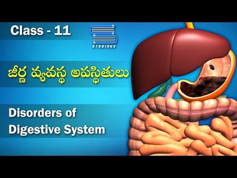 జీర్ణ వ్యవస్థ అపస్థితులు - Disorders of Digestive System