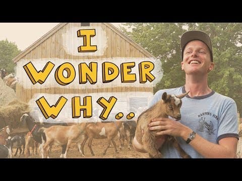 Why do goats have rectangular pupils? - YouTube