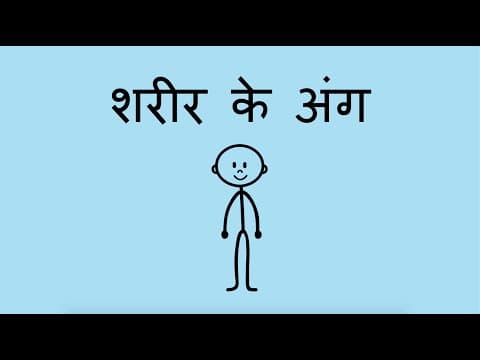 शरीर के अंग - Parts of the Body (Hindi)