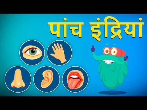फ़ाइव सेन्सेस | पांच इंद्रियां | The Five Senses In Hindi | Dr.Binocs Show | Binocs Ki Duniya