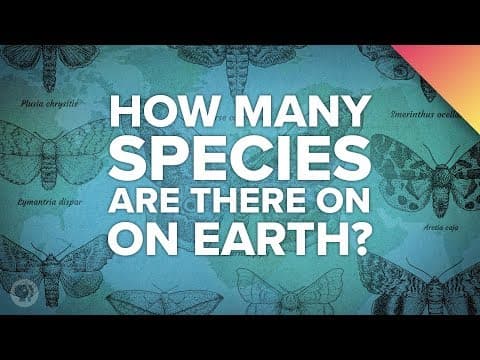 How Many Species Are There? - YouTube