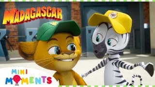 Best Friends And Baseball  Madagascar A Little Wild  Compilation  Mini Moments