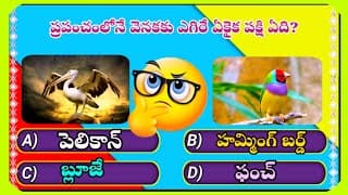 telugu facts interesting॥interesting facts in telugu about god॥best general knowledge