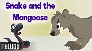 బ్రాహ్మణుని భార్య మరియు ముంగిస పిల్ల |Snake and the Mongoose|Panchatantra stories