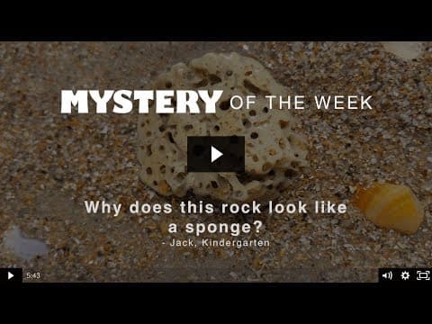 Why does this rock look like a sponge