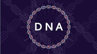 What is DNA and How Does it Work| Basics of DNA