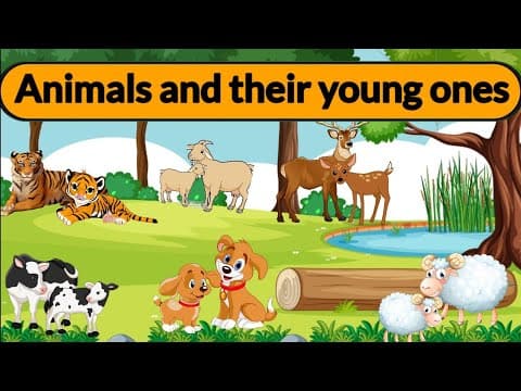 Animals and their young ones | Animals babies | Animals and their babies | Baby animals| Animal baby