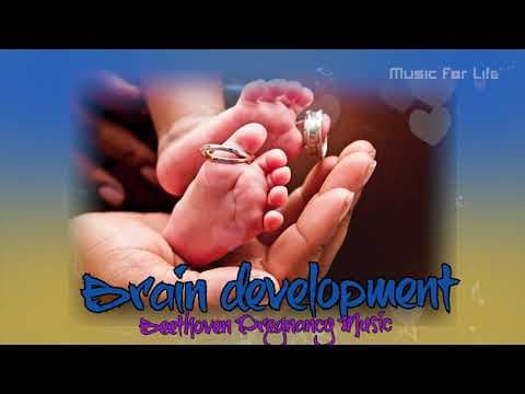 Pregnancy Music | Brain development & Rain sound | Brain Development.