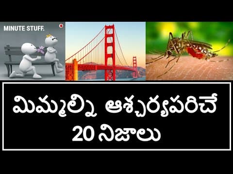 Top 20 Unknown Facts in Telugu | Interesting and Amazing Facts in Telugu | Part 1| Minute Stuff