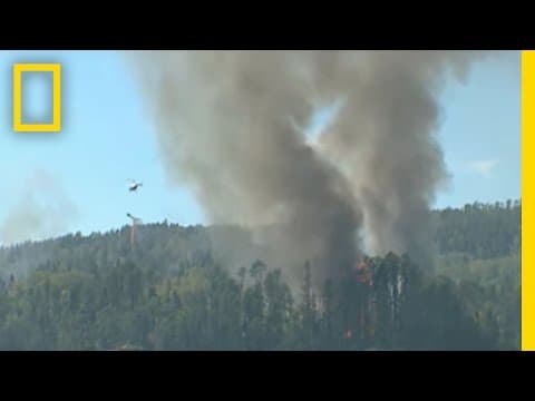 Forest Wildfire Protection