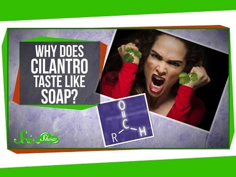 Why Does Cilantro Taste Like Soap?