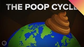 How Poop Shapes the World