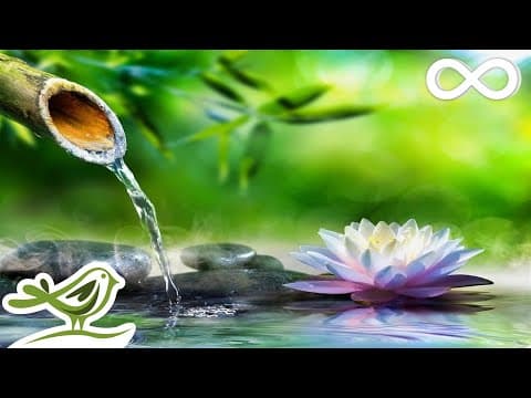 Relaxing Piano Music • Sleep Music Water Sounds Relaxing Music Meditation Music