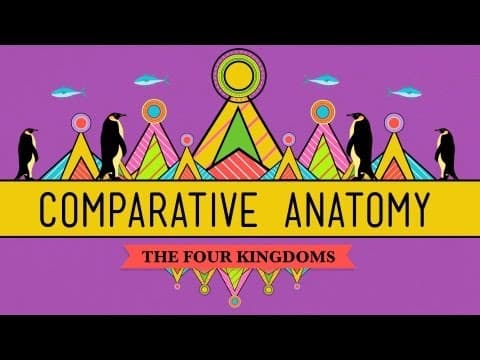 Comparative Anatomy: What Makes Us Animals