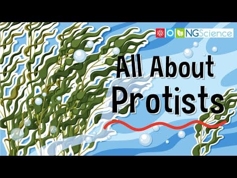 All About Protists