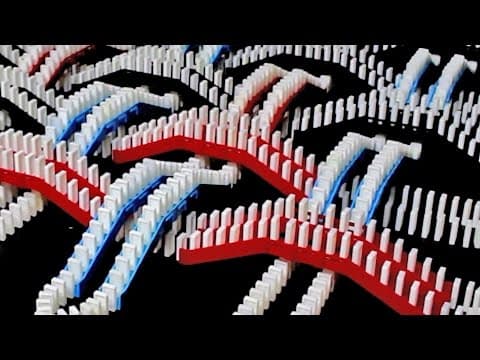 FlippyCat’s Spectacular Domino Rally Stunt Screenlink