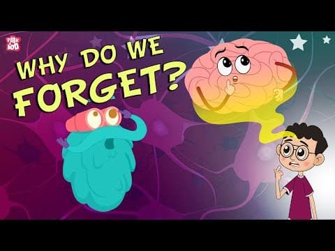 Why Do We Forget?