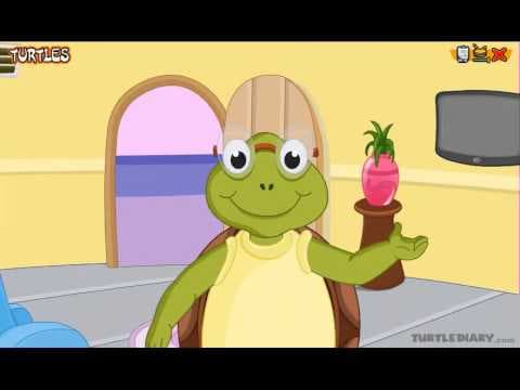 Fun Turtle & Tortoise Facts! Animal Science for Kids
