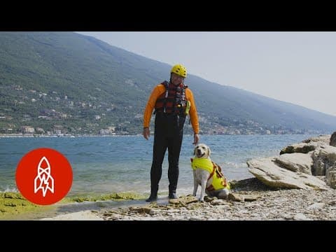 Meet italy's lifeguard dogs