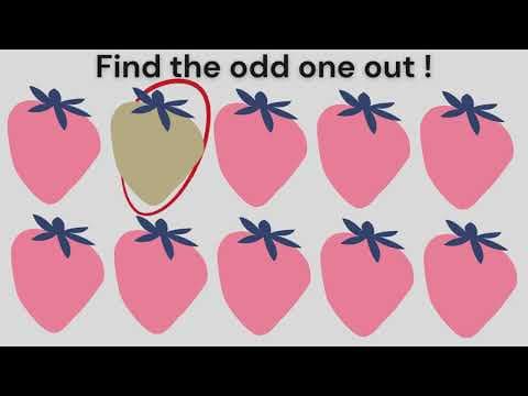 Can You Find the Odd One Out? Odd one out brain teaser riddles | kids riddles | odd 1 out | guess
