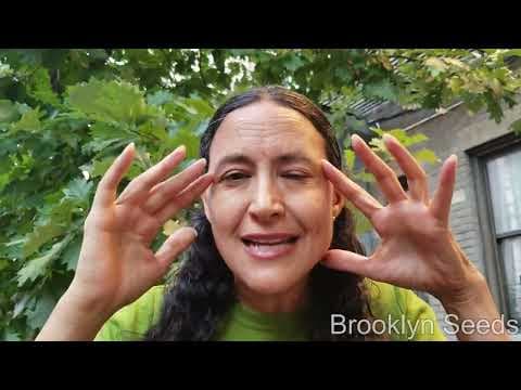 Brooklyn Seeds - Is that a weed or an amazing native plant.
