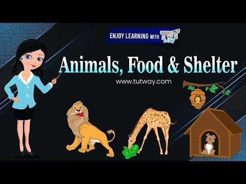 Herbivores - Carnivores - Omnivores - Types of Animals - Homes of animals
