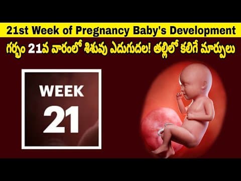 21st Week of Pregnancy Symptoms, Changes & Baby Development | 21st Week of Pregnancy in telugu