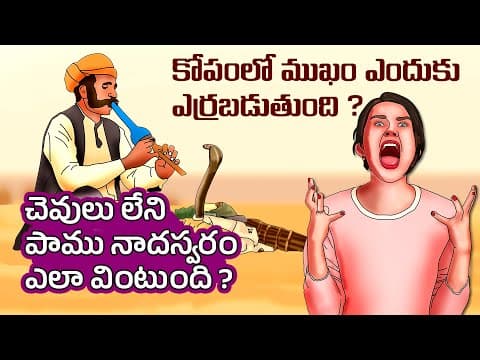 Interesting Facts in Telugu | Why Face Turns Red When Angry | snakes respond to music | Telugu Facts