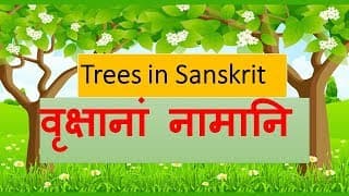 वृक्षानां नामानि (Trees in Sanskrit)