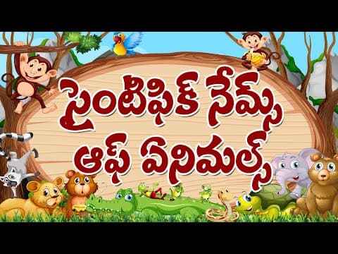 Scientific names of animals