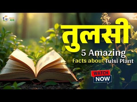 Tulsi | तुलसी का महत्व | 5 Amazing Facts about Tulsi Plant | आस्था या विज्ञान?