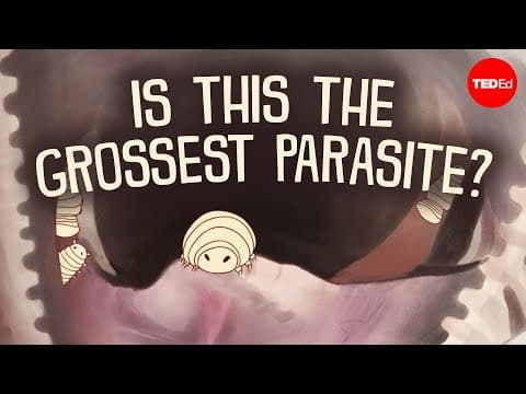 Is this the grossest parasite? - Niko Zlotnik - YouTube