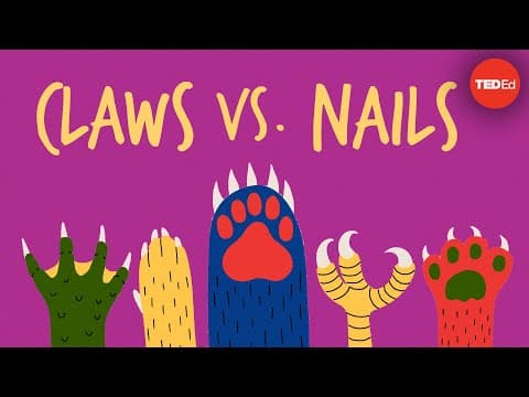 Claws vs. nails - Matthew Borths - YouTube