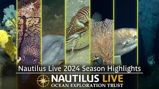 Relive the Best of E V Nautilus 2024 Expedition Highlights!