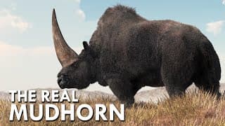 Elasmotherium| The Real Mudhorn