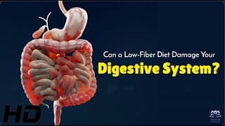 Low Fiber Diet The Impact on Your Digestive System Explained