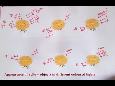 Simple explanation of appearance of Yellow objects in different coloured lights
