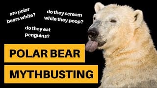 Polar Bear Mythbusting