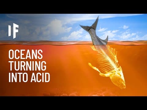 What If All Oceans Turned Into Acid?