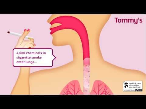 The effects of smoking on your baby