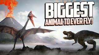 Quetzalcoatlus A Giraffe With Wings