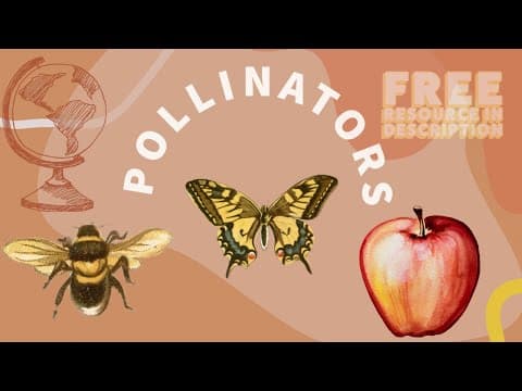 Pollinators For Young Learners
