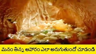 How The Digestive System Works in Human Body in Telugu