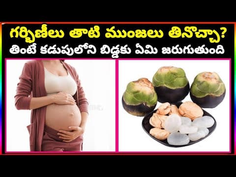 Taati Munjalu During Pregnancy | Eating Ice Apple During Pregnancy | Ice Apple Fruit | Palm Fruit
