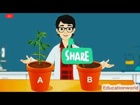 Type of root !! Work of root !! Root !! Importance of root in plants !! Plant !! Plant study !!