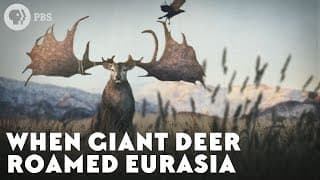 When Giant Deer Roamed Eurasia