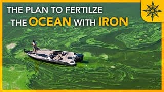 The Plan to Fertilize the Ocean With IRON